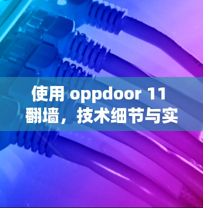 使用 oppdoor 11 翻墙,技术细节与实际操作指南 使用 oppdoor 11 翻墙,技术细节与实际操作指南