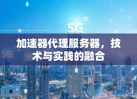 加速器代理服务器,技术与实践的融合