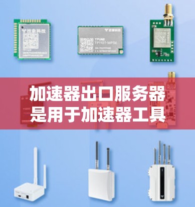 加速器出口服务器是用于加速器工具的服务器,主要功能包括读取和处理加速器的输出数据,返回到客户端。以下是对加速器出口服务器的详细介绍