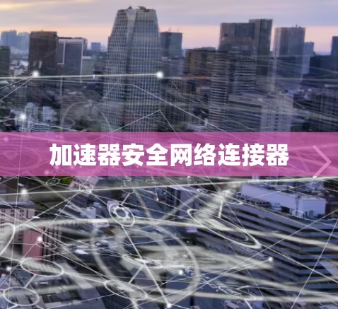 加速器安全网络连接器 加速器安全网络连接器