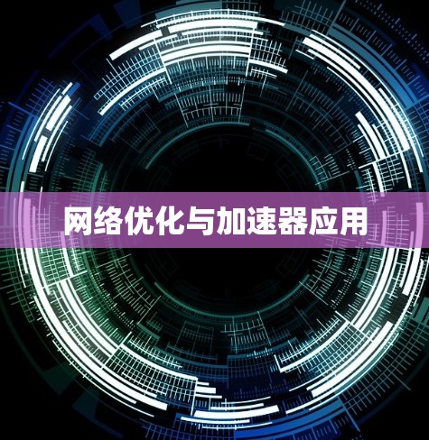 网络优化与加速器应用 网络优化与加速器应用