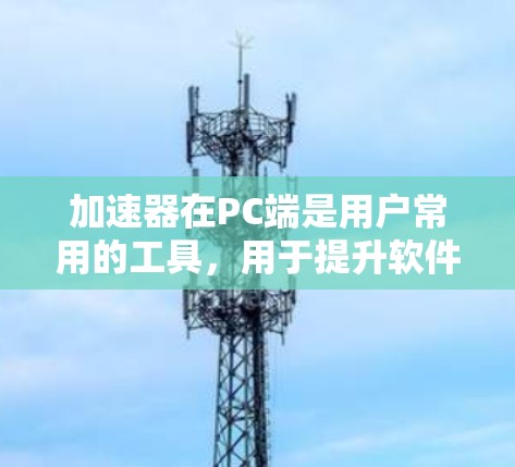 加速器在PC端是用户常用的工具,用于提升软件性能和优化用户体验。以下是几种常见的加速器类型及其作用