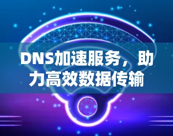 DNS加速服务,助力高效数据传输的未来