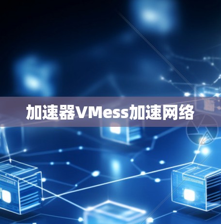 加速器VMess加速网络 加速器VMess加速网络
