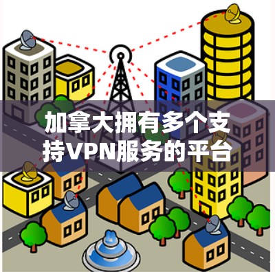 加拿大拥有多个支持VPN服务的平台,这些平台在安全性、资质、用户权限和法律合规性等方面都有详细的信息。以下是对加拿大主要的VPN服务的总结 加拿大拥有多个支持VPN服务的平台,这些平台在安全性、资质、用户权限和法律合规性等方面都有详细的信息。以下是对加拿大主要的VPN服务的总结
