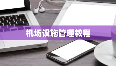 机场设施管理教程 机场设施管理教程