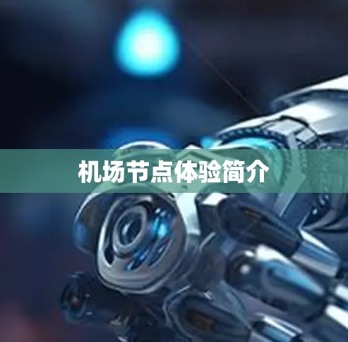 机场节点体验简介