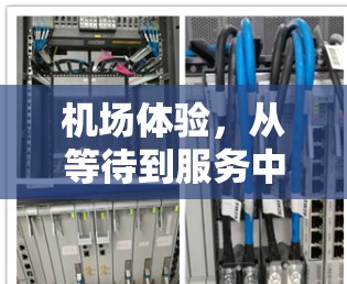 机场体验,从等待到服务中的体验 机场体验,从等待到服务中的体验