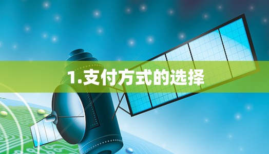 1.支付方式的选择 1.支付方式的选择