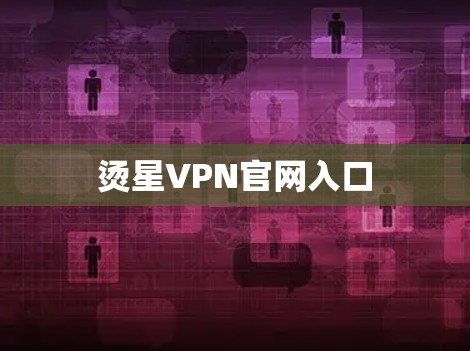 烫星VPN官网入口 烫星VPN官网入口