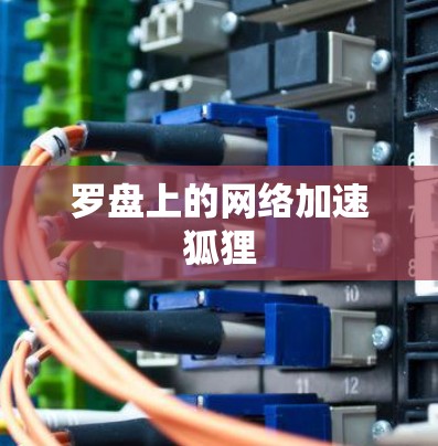罗盘上的网络加速狐狸 罗盘上的网络加速狐狸