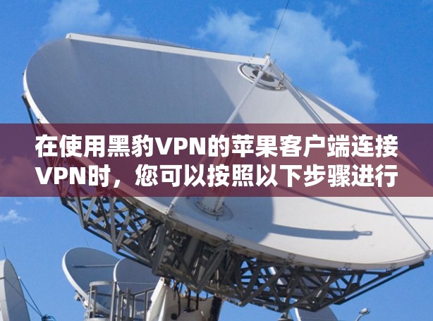 在使用黑豹VPN的苹果客户端连接VPN时，您可以按照以下步骤进行操作