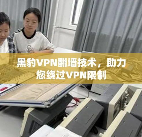 黑豹VPN翻墙技术,助力您绕过VPN限制 黑豹VPN翻墙技术,助力您绕过VPN限制