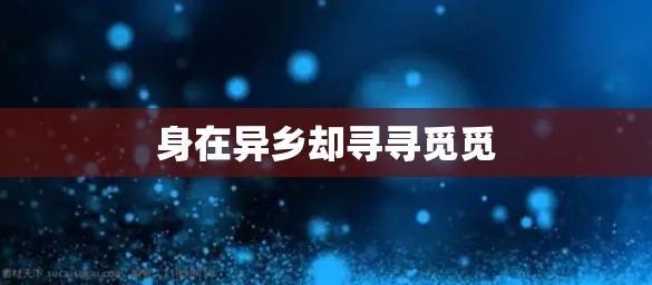 身在异乡却寻寻觅觅 身在异乡却寻寻觅觅
