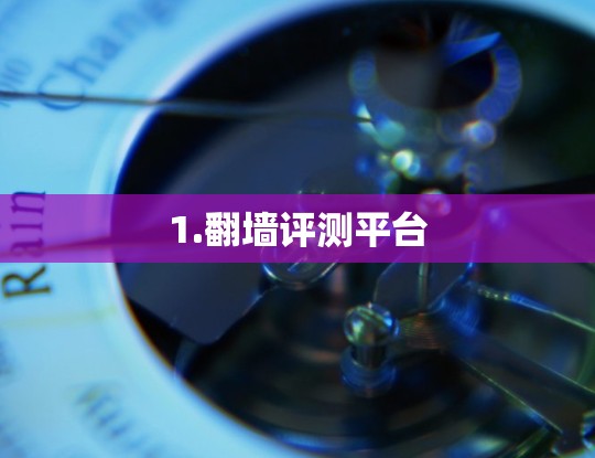 1.翻墙评测平台 1.翻墙评测平台