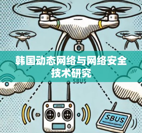 韩国动态网络与网络安全技术研究 韩国动态网络与网络安全技术研究