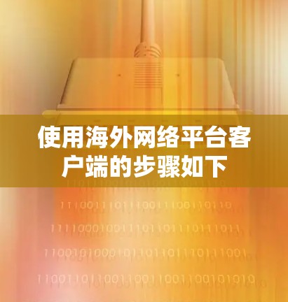 使用海外网络平台客户端的步骤如下