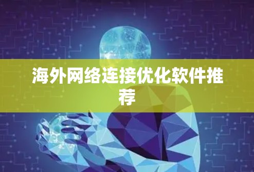 海外网络连接优化软件推荐