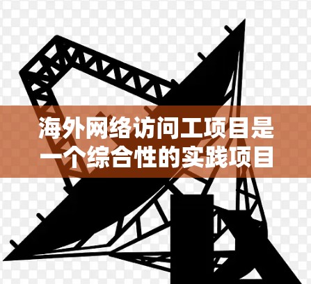 海外网络访问工项目是一个综合性的实践项目，旨在提升员工的专业技能和网络访问效率。以下是对该项目的详细分析和解决方案