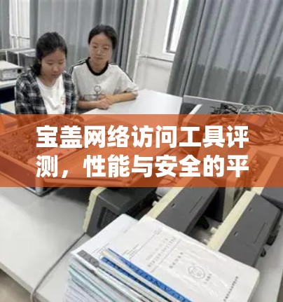 宝盖网络访问工具评测，性能与安全的平衡点