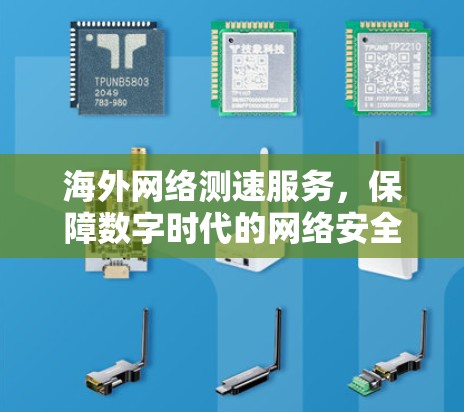 海外网络测速服务，保障数字时代的网络安全