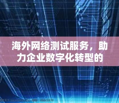 海外网络测试服务,助力企业数字化转型的强劲助力 海外网络测试服务,助力企业数字化转型的强劲助力