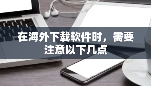 在海外下载软件时,需要注意以下几点 在海外下载软件时,需要注意以下几点