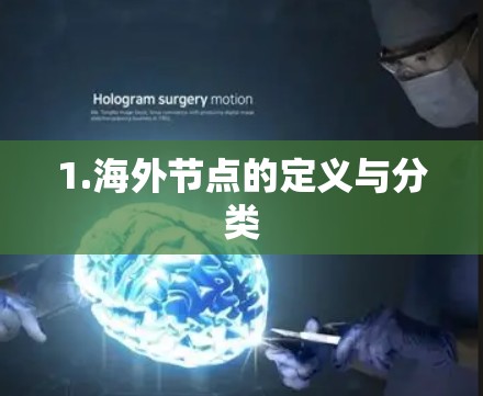 1.海外节点的定义与分类 1.海外节点的定义与分类