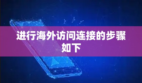 进行海外访问连接的步骤如下 进行海外访问连接的步骤如下