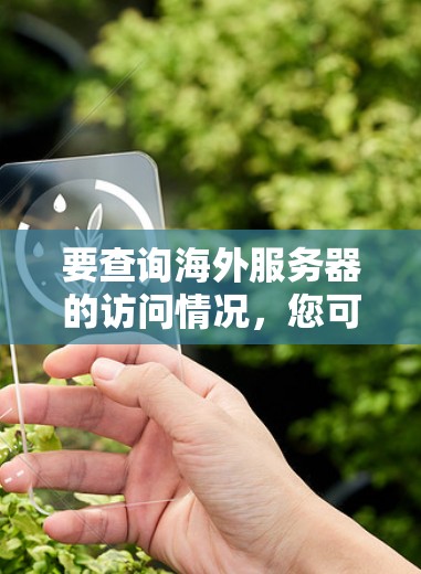 要查询海外服务器的访问情况,您可以按照以下步骤进行操作