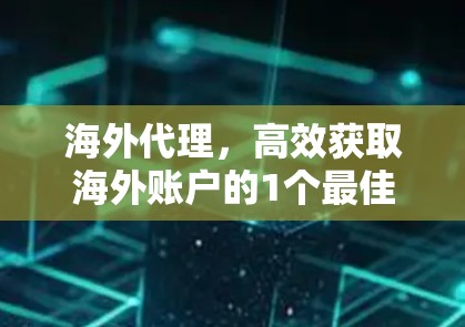 海外代理,高效获取海外账户的1个最佳选择