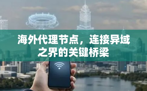 海外代理节点,连接异域之界的关键桥梁