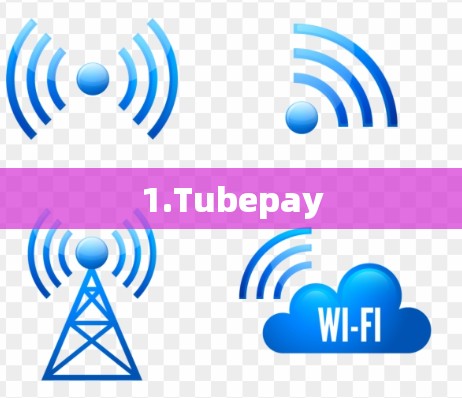 1.Tubepay