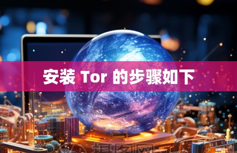安装 Tor 的步骤如下 安装 Tor 的步骤如下