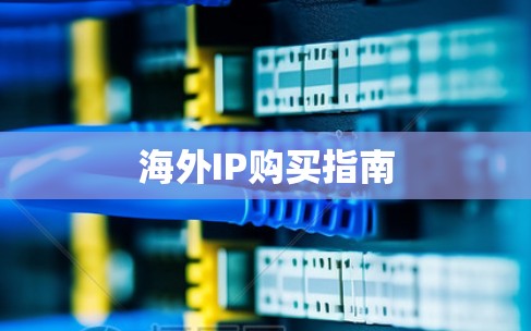 海外IP购买指南