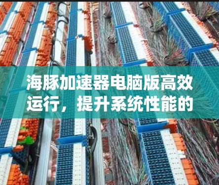 海豚加速器电脑版高效运行，提升系统性能的终极解决方案