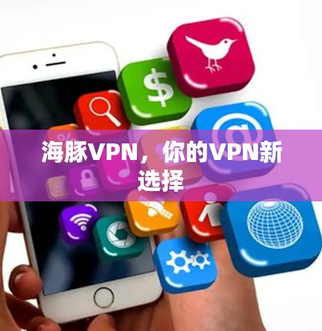 海豚VPN,你的VPN新选择