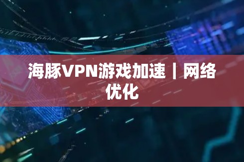 海豚VPN游戏加速|网络优化
