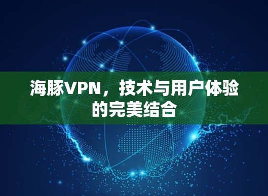 海豚VPN，技术与用户体验的完美结合