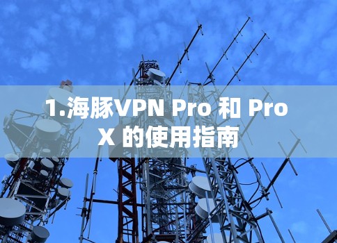 1.海豚VPN Pro 和 Pro X 的使用指南