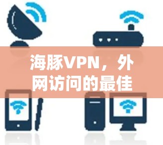 海豚VPN,外网访问的最佳选择