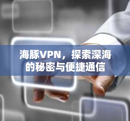 海豚VPN,探索深海的秘密与便捷通信