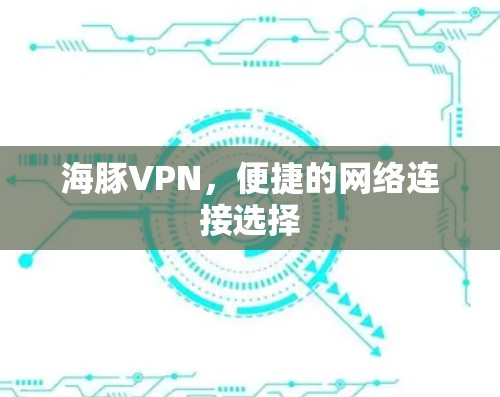 海豚VPN,便捷的网络连接选择