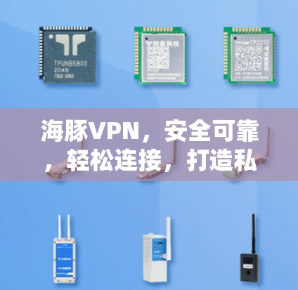海豚VPN,安全可靠,轻松连接,打造私密网络空间