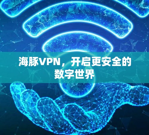海豚VPN,开启更安全的数字世界