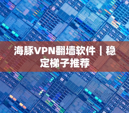 海豚VPN翻墙软件|稳定梯子推荐