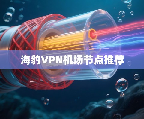 海豹VPN机场节点推荐