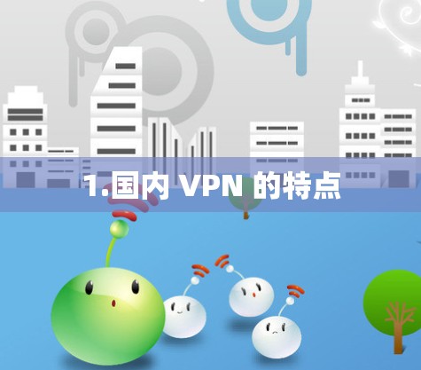 1.国内 VPN 的特点