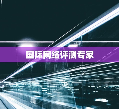 国际网络评测专家