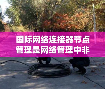 国际网络连接器节点管理是网络管理中非常重要的一个部分,涉及端口连接器、网络连接器、本地连接器和端口连接器等四个主要节点。每个节点的功能和配置方法各不相同,具体如下